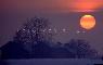 TRAMONTO 