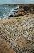 SABRATHA