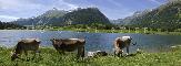 LAGHI GRAVATSCHA