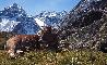 VAL VENTINA