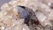 ANATASIO con BROOKITE