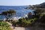 CAPO COMINO