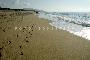 PISCINAS