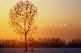 TRAMONTO