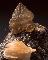 CERUSSITE