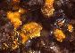 BOLTWOODITE, 