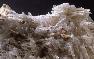 MEYERHOFFERITE