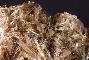 SCOLZITE