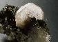 APATITE