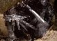 ARAGONITE