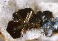EMATITE con RUTILO