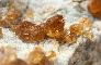 GRANATO ANDRADITE