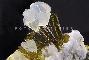 PREHNITE su EPIDOTO
