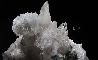 SCOLECITE
