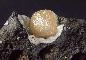 GMELINITE