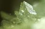ANAPAITE